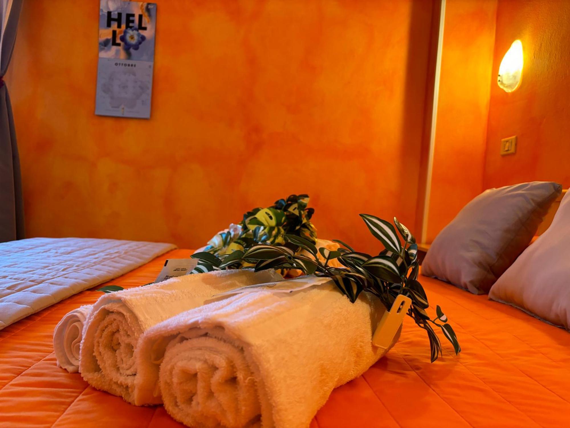 Summer Dream Aparthotel 3*